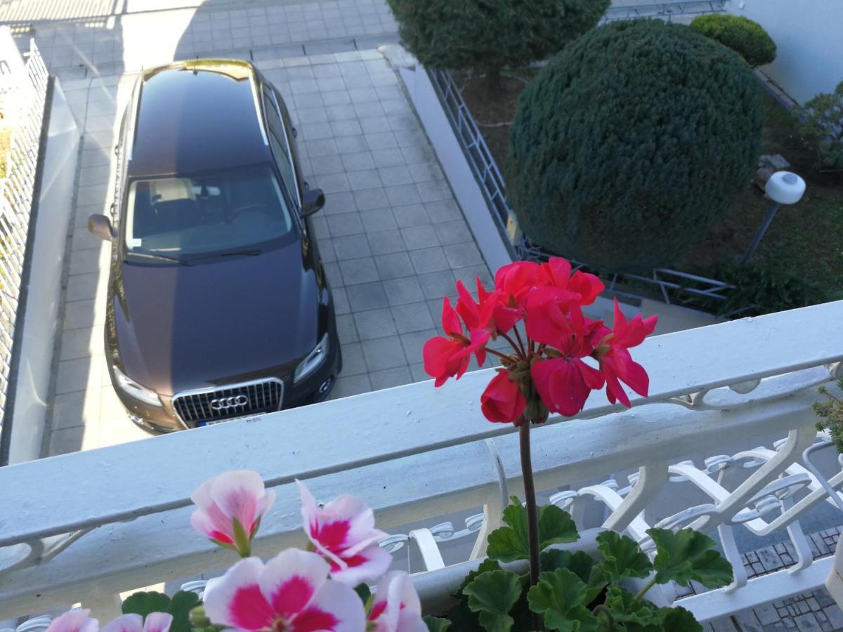 Apartmani Capi Golubac Bagian luar foto